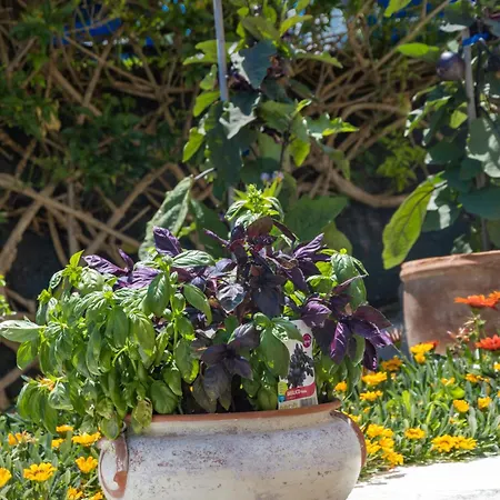 Отель La Luna 3*