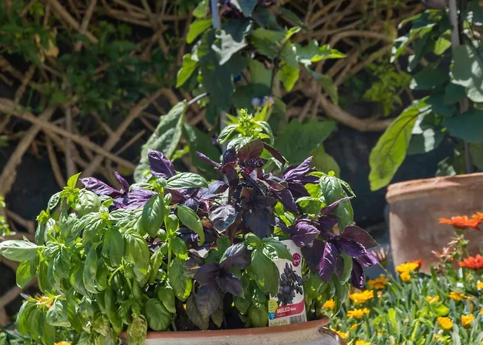 Szálloda La Luna 3*