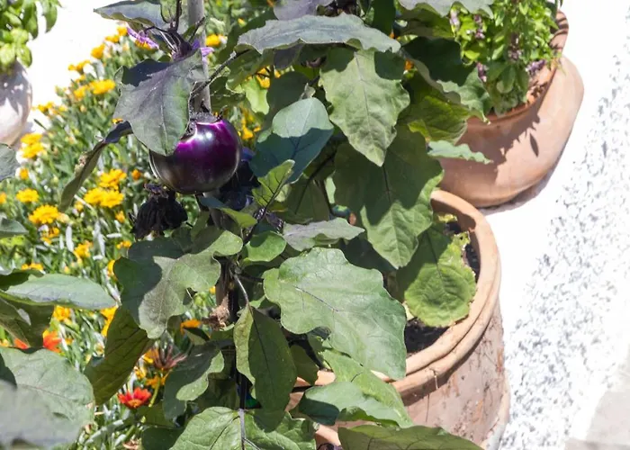 La Luna Szálloda 3*